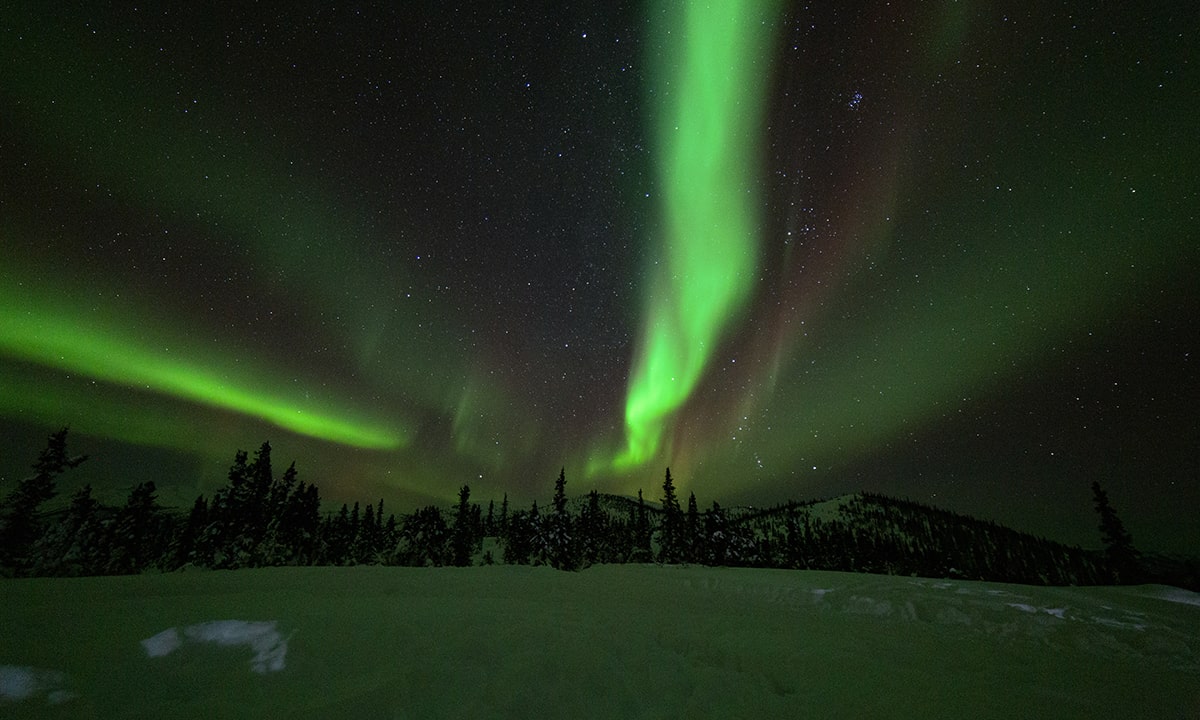 Moose Creek Apartments